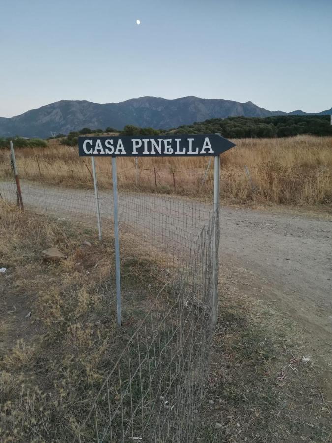 Villamassargia Casa Pinellaヴィラ エクステリア 写真