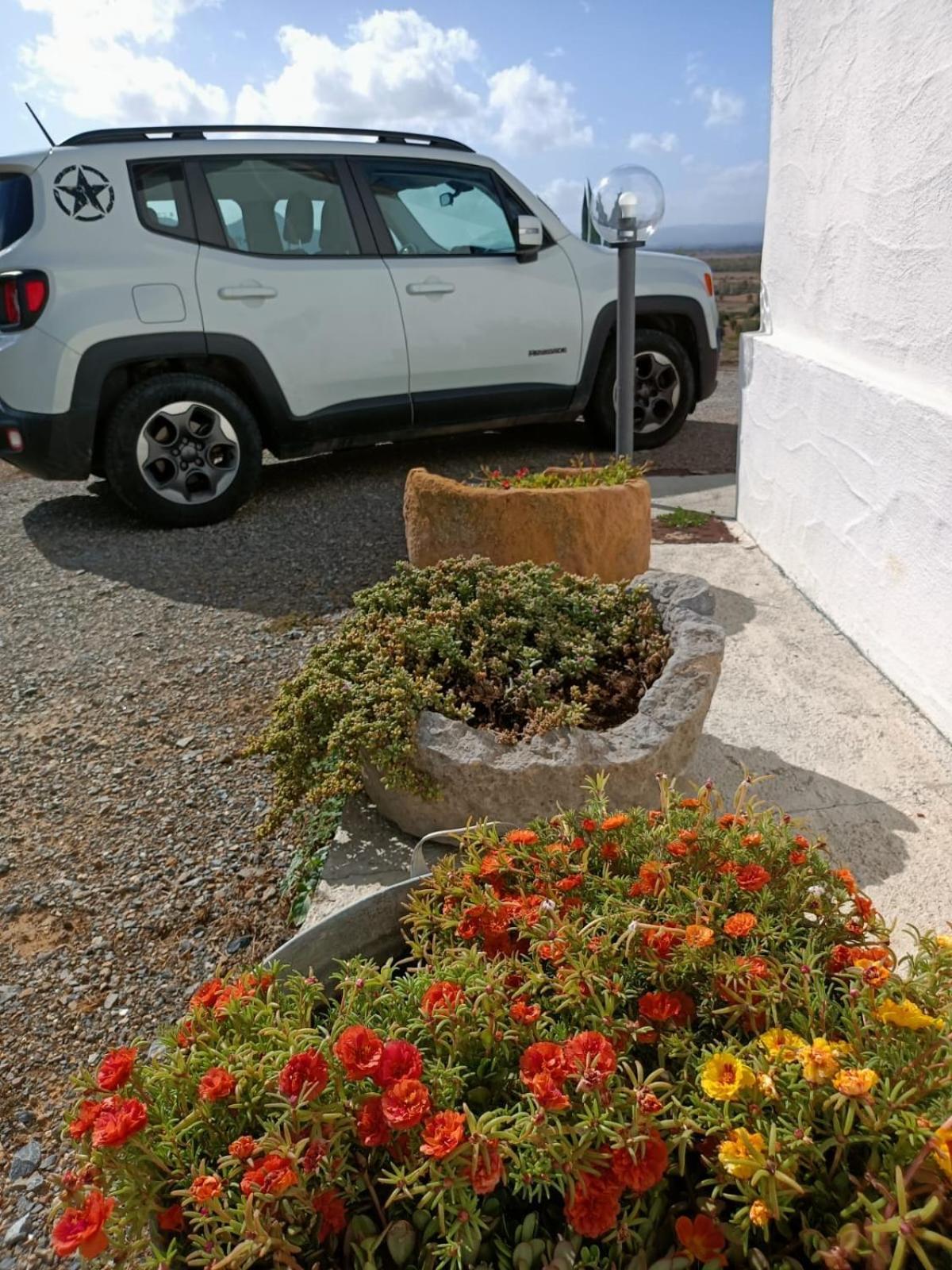 Villamassargia Casa Pinellaヴィラ エクステリア 写真