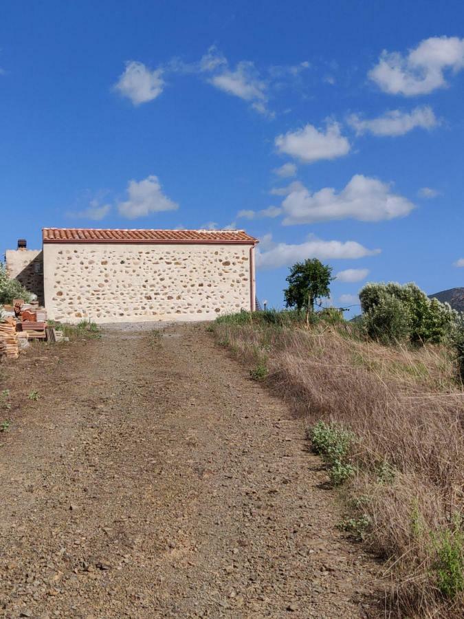 Villamassargia Casa Pinellaヴィラ エクステリア 写真